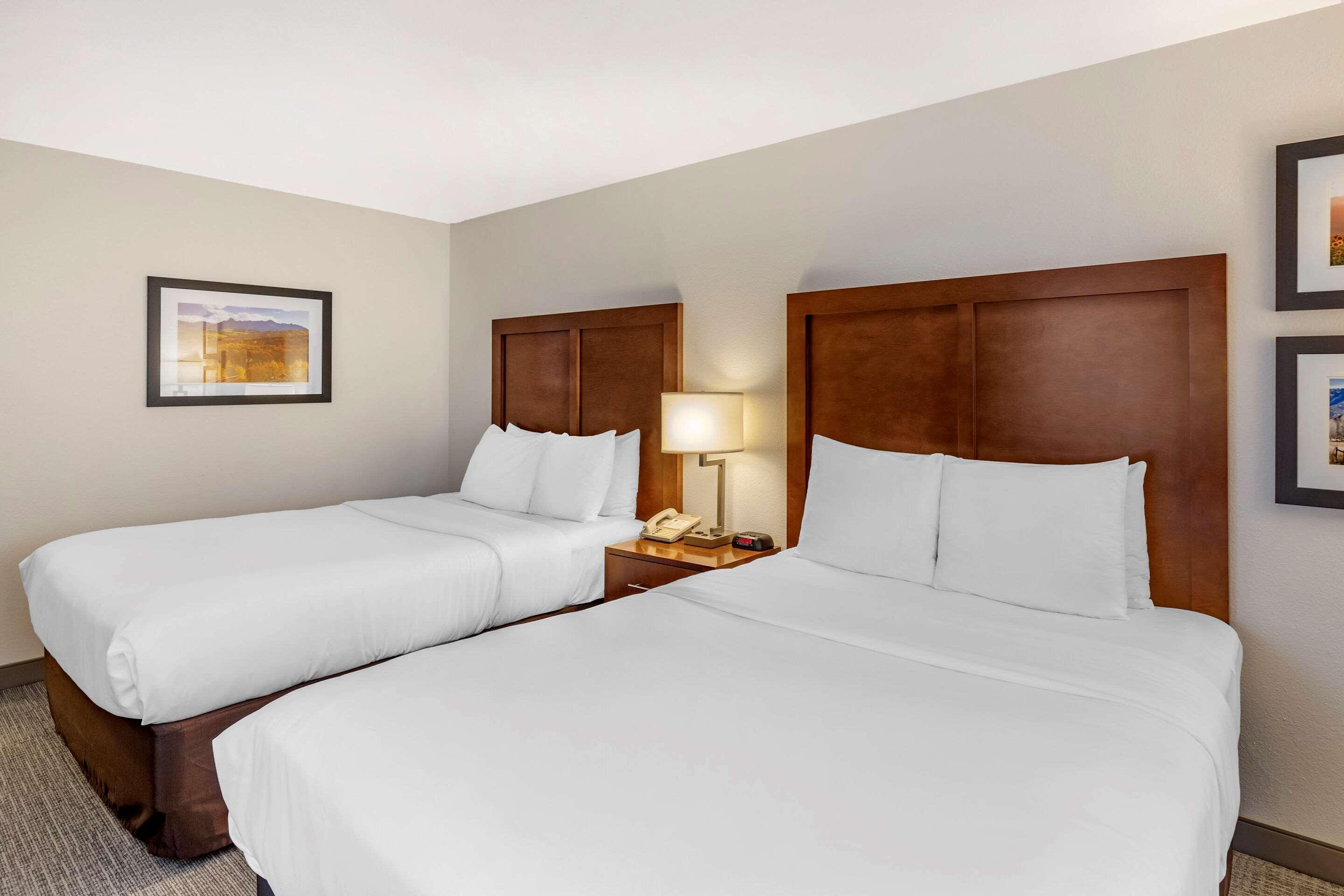 Comfort Inn & Suites Carbondale On The Roaring Fork Zewnętrze zdjęcie