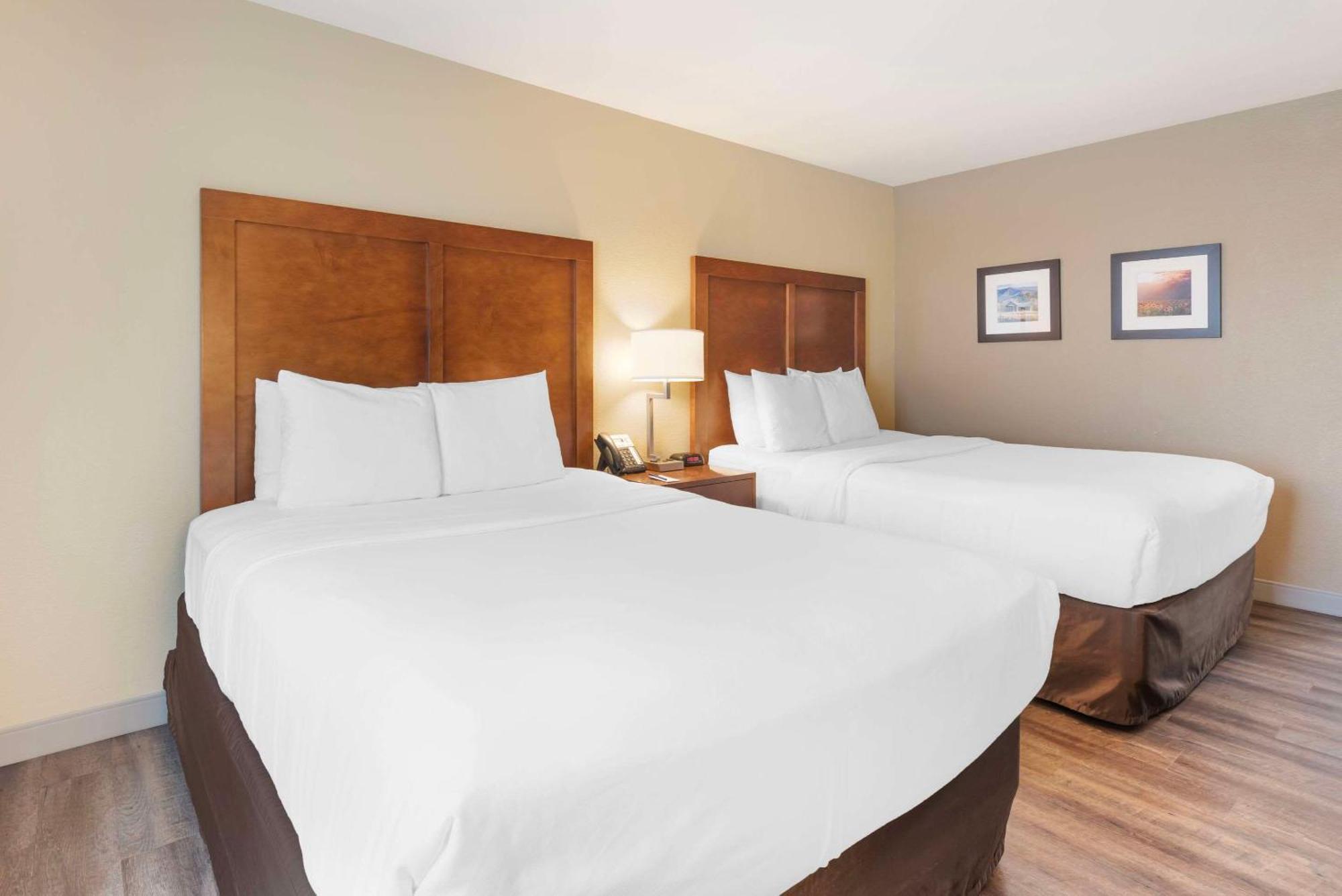 Comfort Inn & Suites Carbondale On The Roaring Fork Zewnętrze zdjęcie