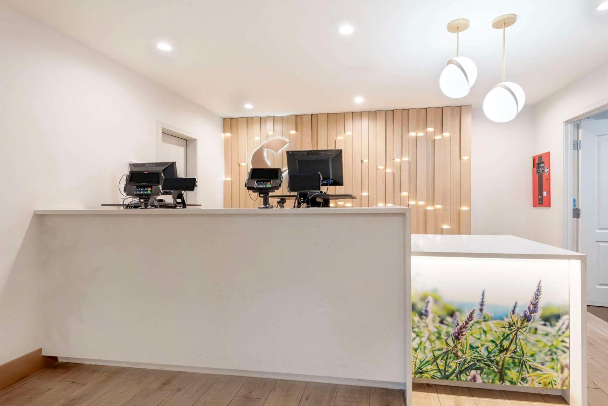 Comfort Inn & Suites Carbondale On The Roaring Fork Zewnętrze zdjęcie