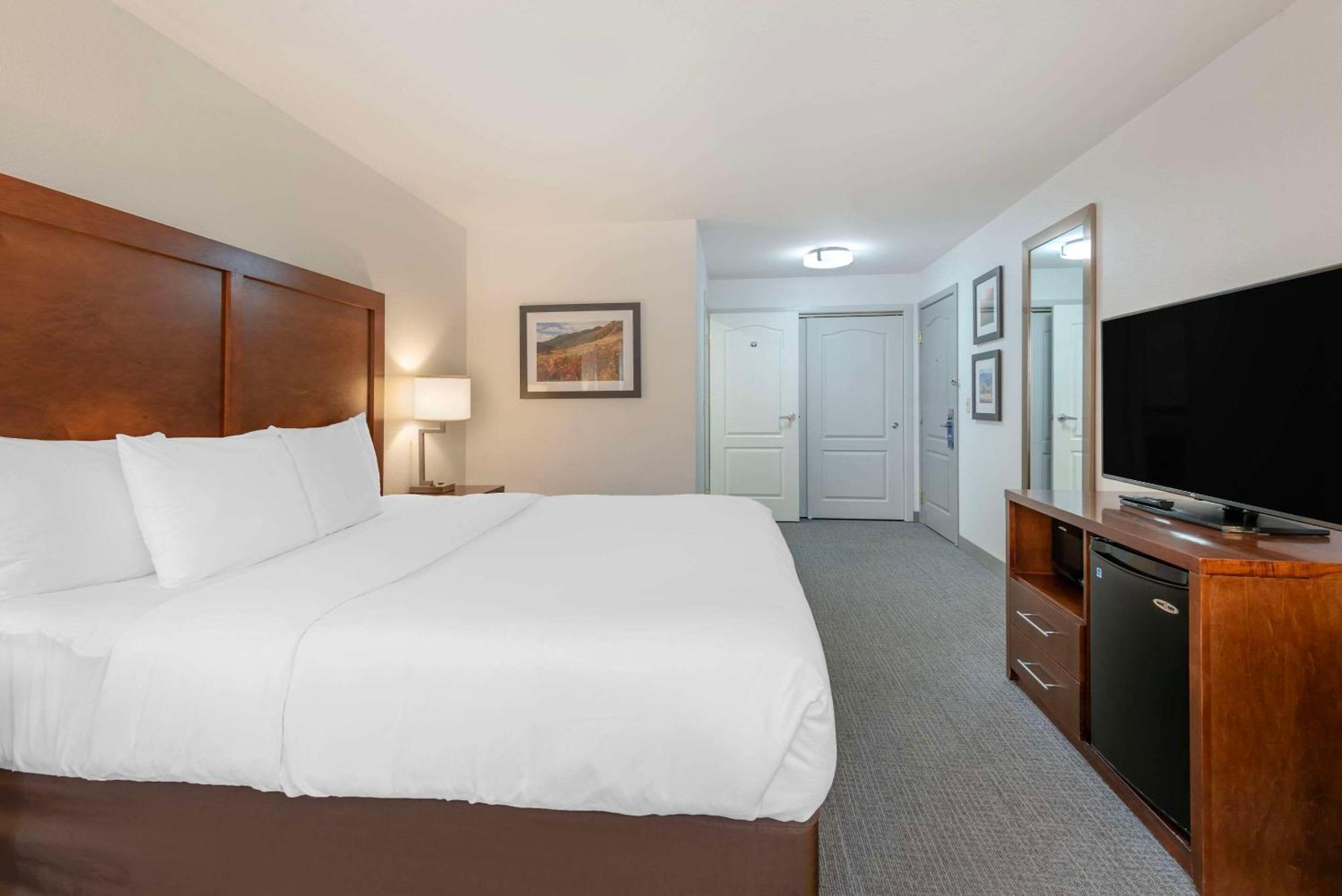 Comfort Inn & Suites Carbondale On The Roaring Fork Zewnętrze zdjęcie